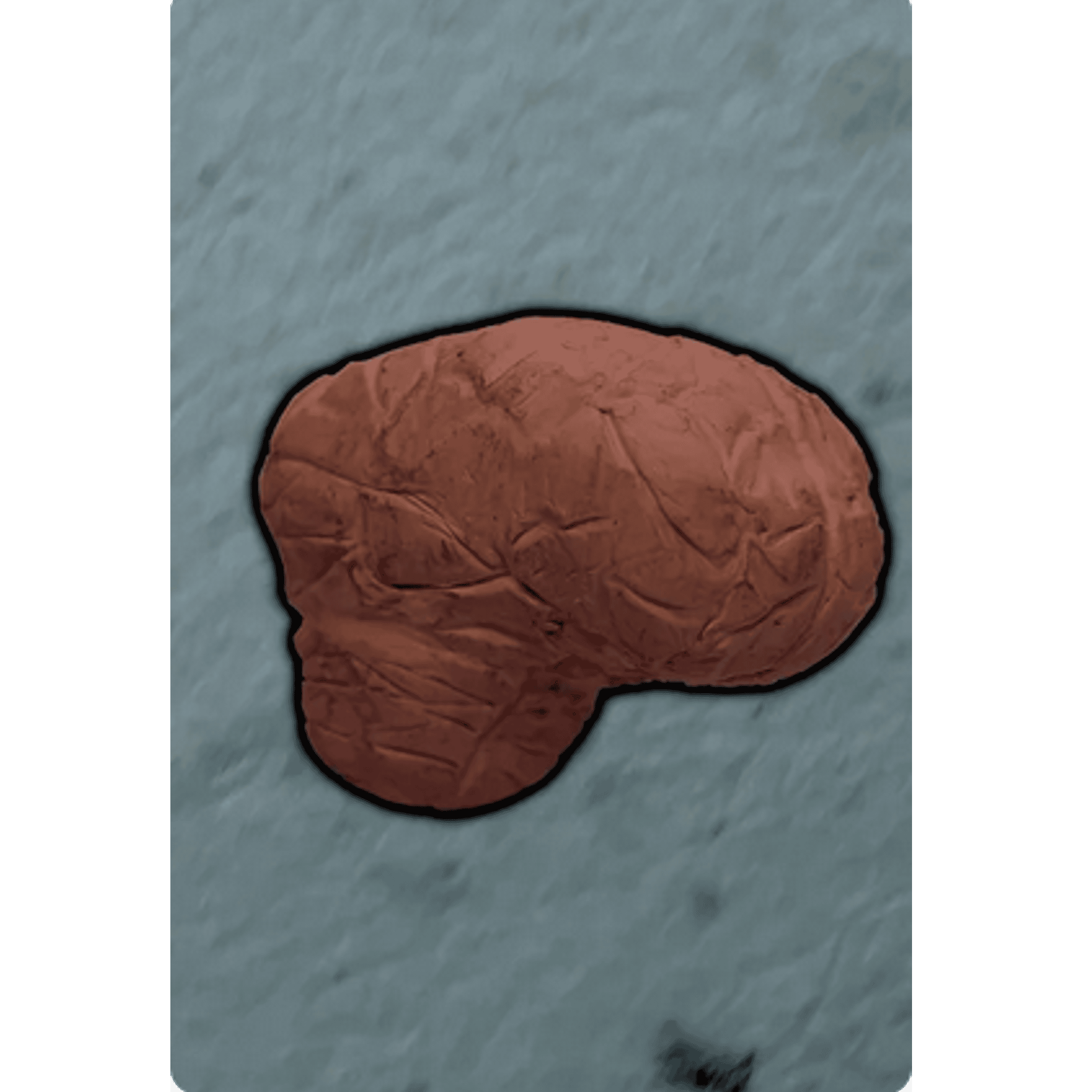 Inside a Brain Thumbnail